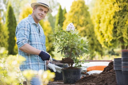 Gardener speaking with a resident about accessible garden care options