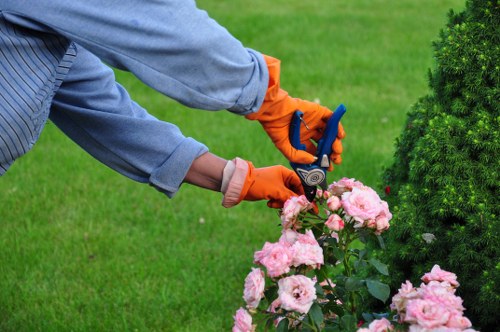 Close-up of gardener checking planting bed and documenting work