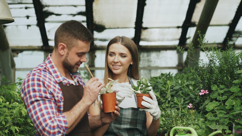A garden scene featuring neatly trimmed green hedges bordering a lawn with freshly cut grass, showing a variety of plants and shrubs arranged in garden beds. The soil in the beds appears moist and wel